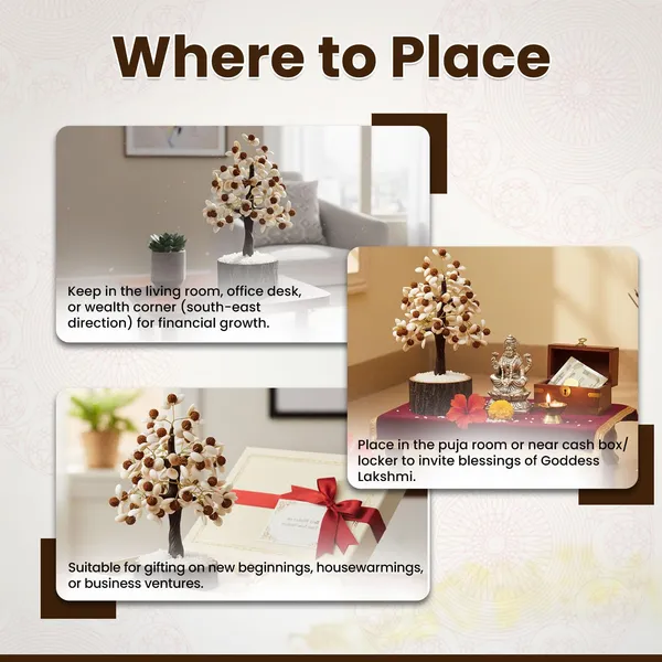 White_And_Brown_Gomti_Rudraksha_Gemstone_Tree_For_Home_Decor_Gifting