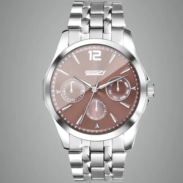 Silver_And_Brown_Ctz_Collection_Stainless_Steel_Watch_For_Men