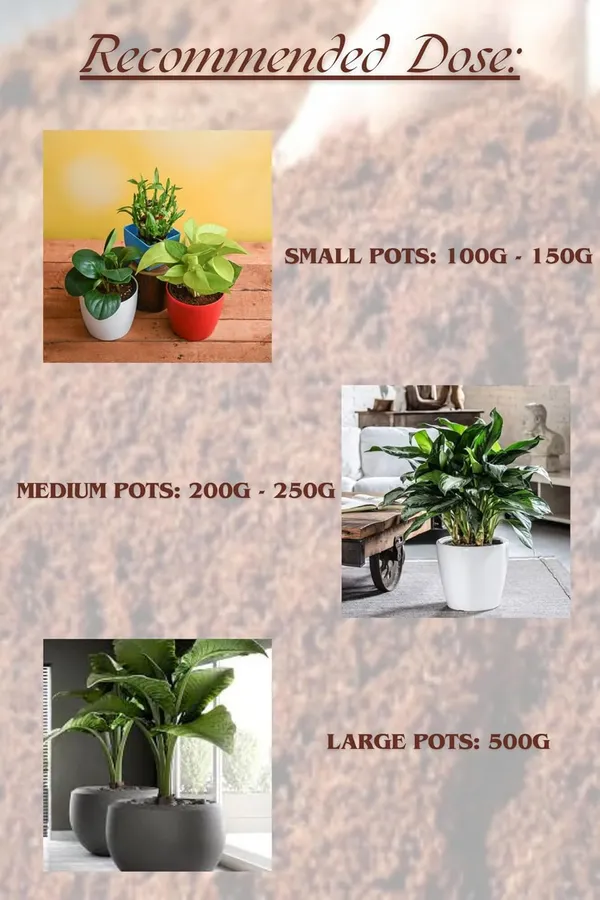 Light_Yellow_Organic_Manure_1Kg_100%_Natural_Fertilizer_For_Home_Garden_Nutrient_Rich_Compost_For_Plants_Improves_Soil_Health_Ideal_For_Flowers