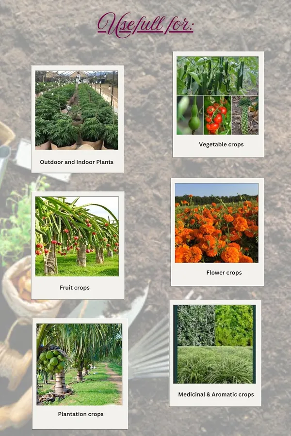 White_Samrakshan_Phosphorus_Prom_1_Kg_+_Organic_Manure_1_Kg_Combo_Pack