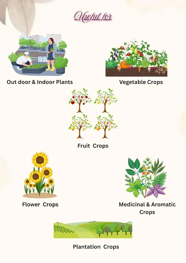 Multicolour_Pot_Mix_1Kg_+_Vermi_Compost_Black_Gold_2Kg_Fertilizer_Manure_For_All_Plants_And_Vegetable_Garden
