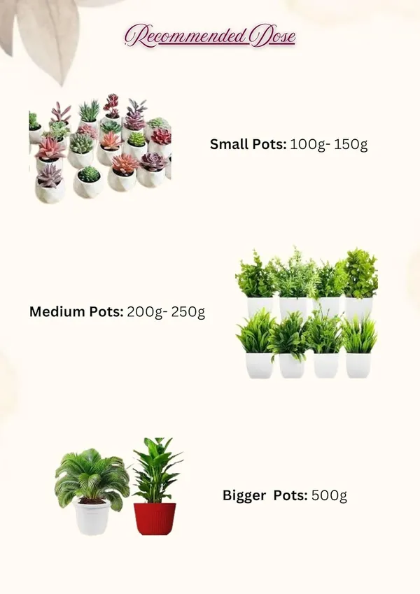 Multicolour_Pot_Mix_1Kg_+_Vermi_Compost_Black_Gold_2Kg_Fertilizer_Manure_For_All_Plants_And_Vegetable_Garden