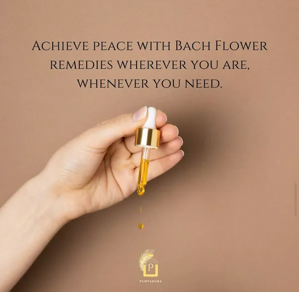 Self_Love_And_Confidence_Remedy_25ml_Bach_Flower_Remedies_Emotional_Healing_Drops