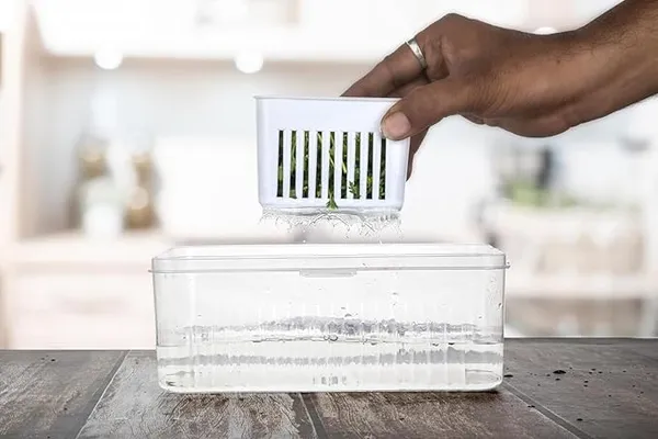 Transparent_Fridge_Storage_Containers_With_Lids
