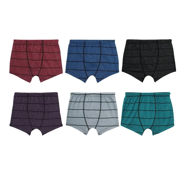 JR-516_Multicolor_Innerwear_Cotton_Briefs_Pack_Of_6_Soft_And_Stretchy_Comfort_Fit_For_Boys-JR_516