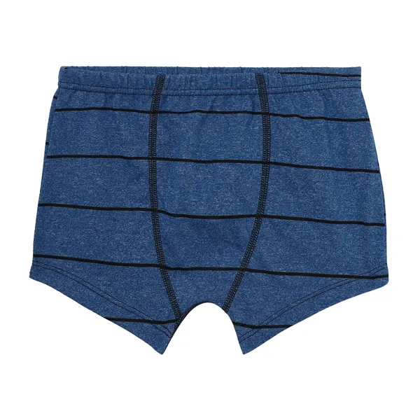 JR-516_Multicolor_Innerwear_Cotton_Briefs_Pack_Of_6_Soft_And_Stretchy_Comfort_Fit_For_Boys-JR_516