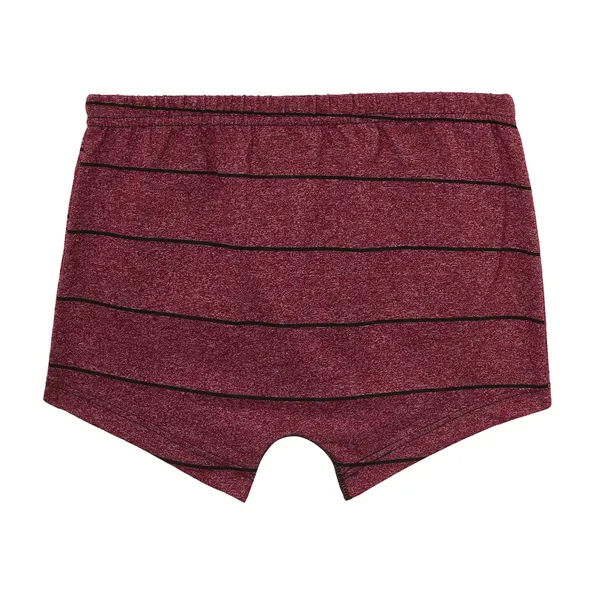 JR-516_Multicolor_Innerwear_Cotton_Briefs_Pack_Of_6_Soft_And_Stretchy_Comfort_Fit_For_Boys-JR_516