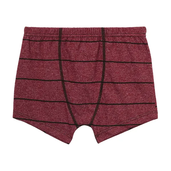 JR-516_Multicolor_Innerwear_Cotton_Briefs_Pack_Of_6_Soft_And_Stretchy_Comfort_Fit_For_Boys-JR_516