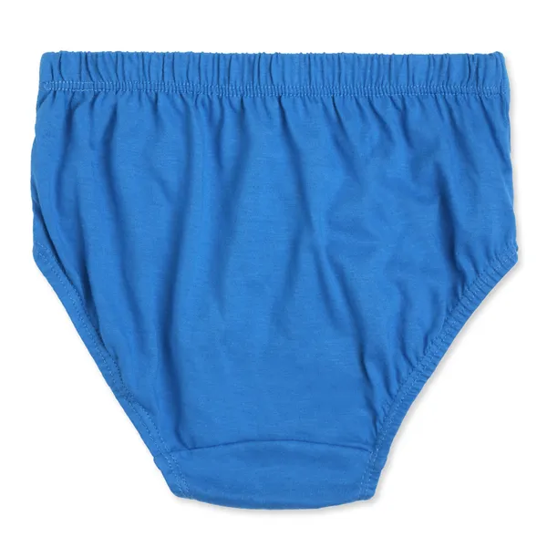 JR-19DC_Multicolor_Cotton_Briefs_Pack_Of_6_Cartoon_Printed_Innerwear_For_Boys