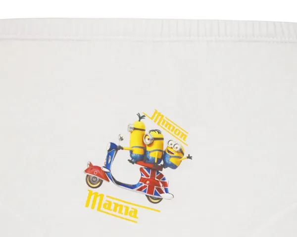 JR-05WH_Multicolor_Cotton_Briefs_Pack_Of_6_Minions_Printed_White_Innerwear_For_Boys