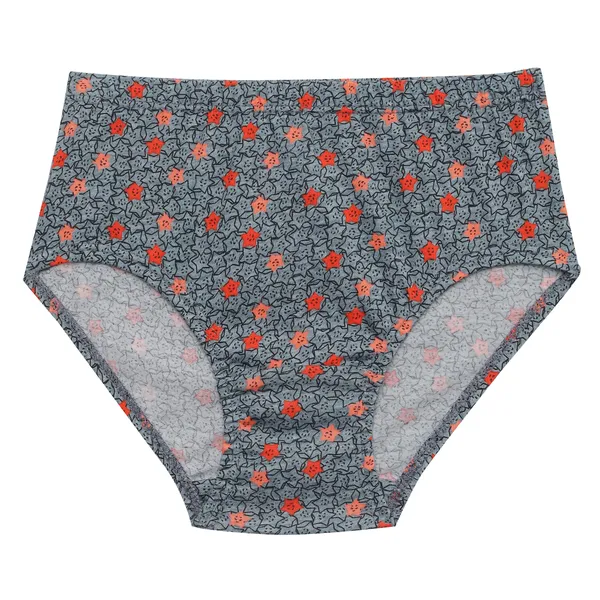 BABY-66_Multicolor_Cotton_Printed_Panties_Pack_Of_6_For_Girls