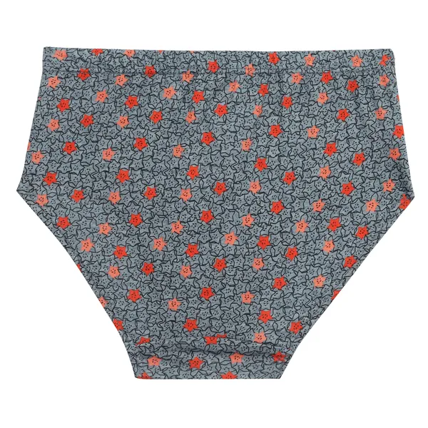 BABY-66_Multicolor_Cotton_Printed_Panties_Pack_Of_6_For_Girls