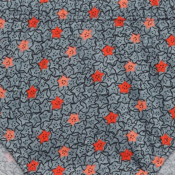 BABY-66_Multicolor_Cotton_Printed_Panties_Pack_Of_6_For_Girls