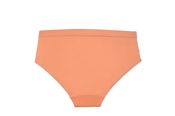 BABY-167_Multicolor_Barbie_Cotton_Briefs_Pack_Of_6_For_Girls