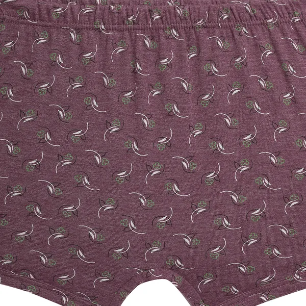 BABY-79_Multicolor_Soft_Cotton_Printed_Boxer_Shorts_Pack_Of_6_For_Girls