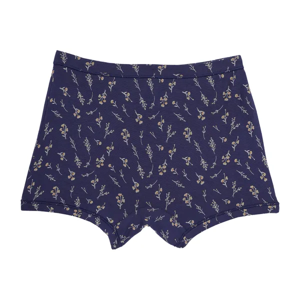 BABY-95_Multicolor_Cotton_Panty_Soft_And_Breathable_Briefs_With_Comfortable_Waistband_Innerwear_For_Pack_Of_6_For_Girls