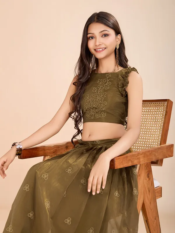 Mehendi_Organza_Silk_Embroidery_Lehenga_Choli_For_Girls