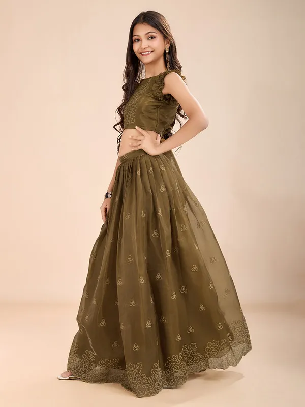 Mehendi_Organza_Silk_Embroidery_Lehenga_Choli_For_Girls