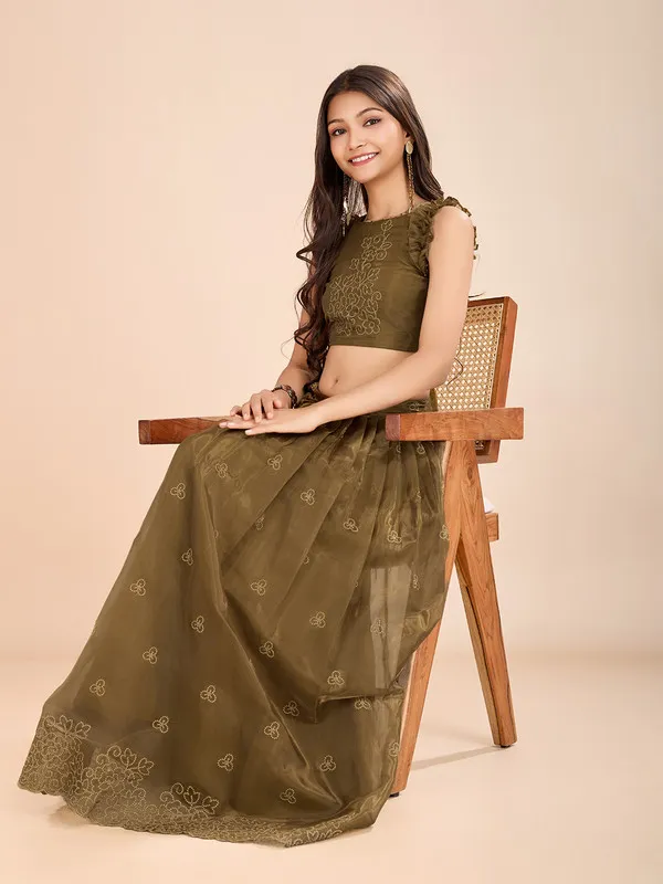 Mehendi_Organza_Silk_Embroidery_Lehenga_Choli_For_Girls