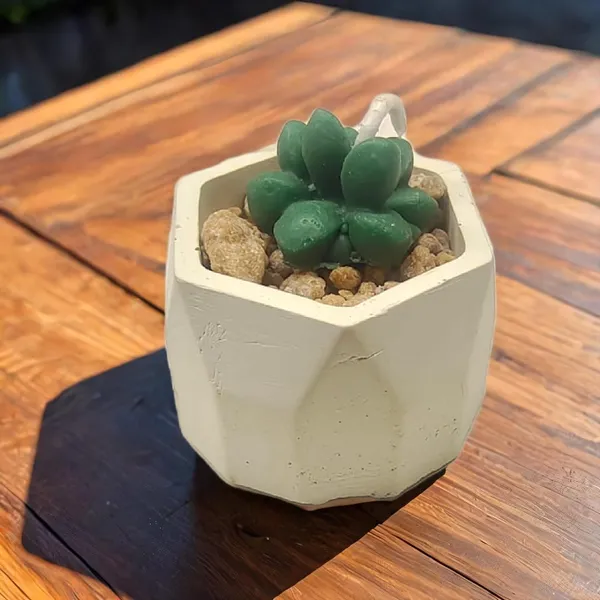 Pack_Of_2_Green_Hexagonal_Small_Succulent_Holder_Candle_And_Red_And_White_Mushroom_Jar_Candle_For_Home_Decor_Combo
