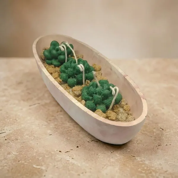 Green_Boat_Shaped_Succulent_Candle_For_Home_Decor