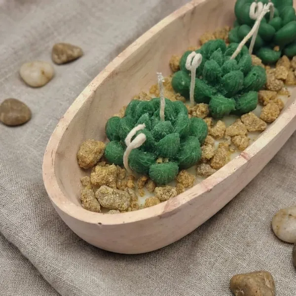 Green_Boat_Shaped_Succulent_Candle_For_Home_Decor