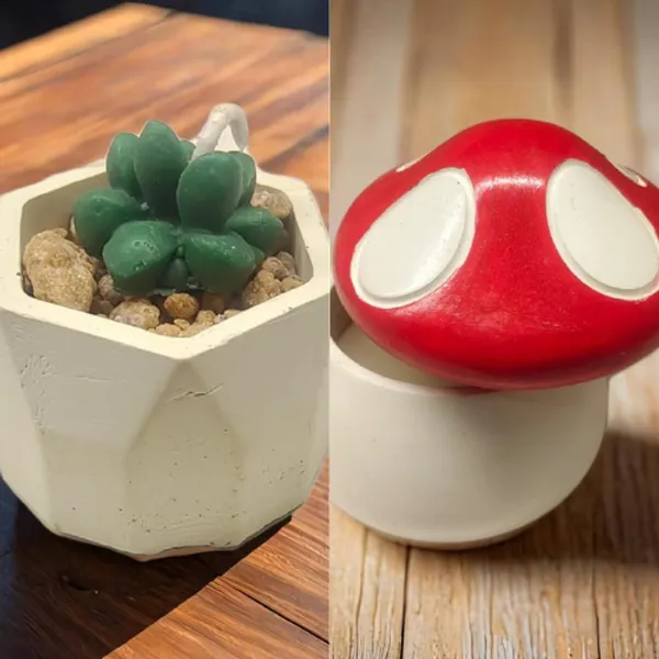 Pack_Of_2_Green_Hexagonal_Small_Succulent_Holder_Candle_And_Red_And_White_Mushroom_Jar_Candle_For_Home_Decor_Combo