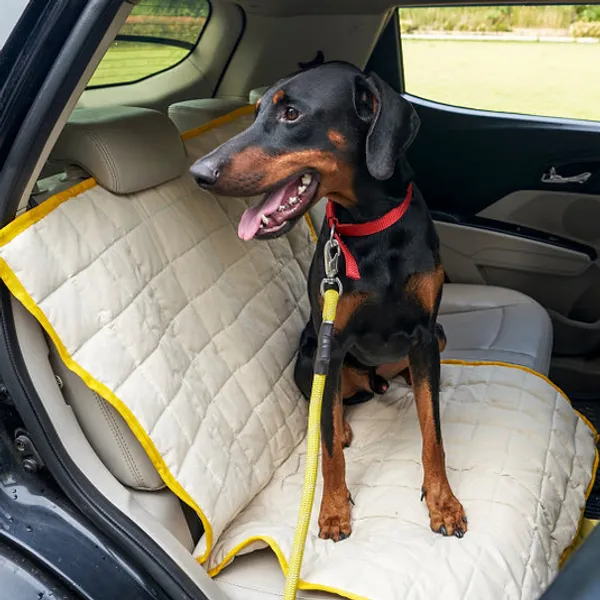 Pet_Mat_With_Car_Attachment