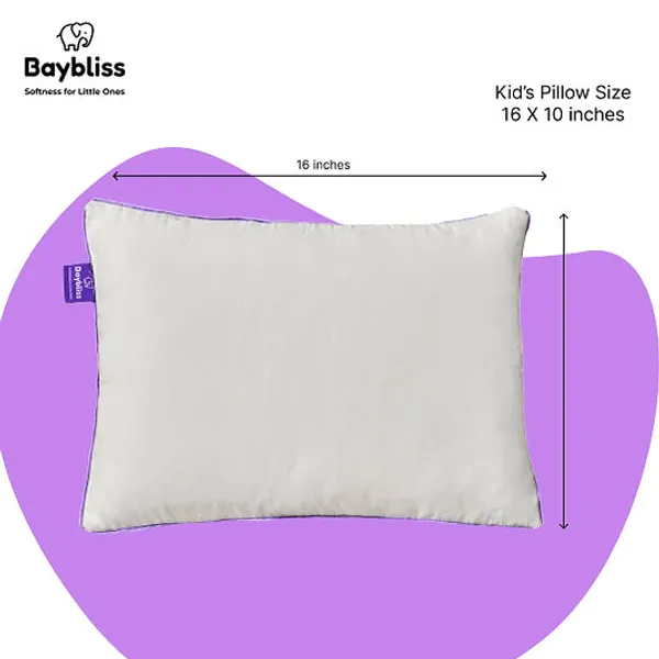 Set_Of_2_Allergy_Free_Kids_Pillow