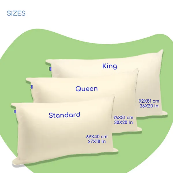 Set_of_2_Allergy_Free_Size_Pillows_With_Organic_Covers