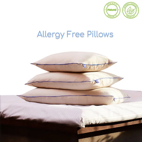 Set_of_2_Allergy_Free_Size_Pillows_With_Organic_Covers