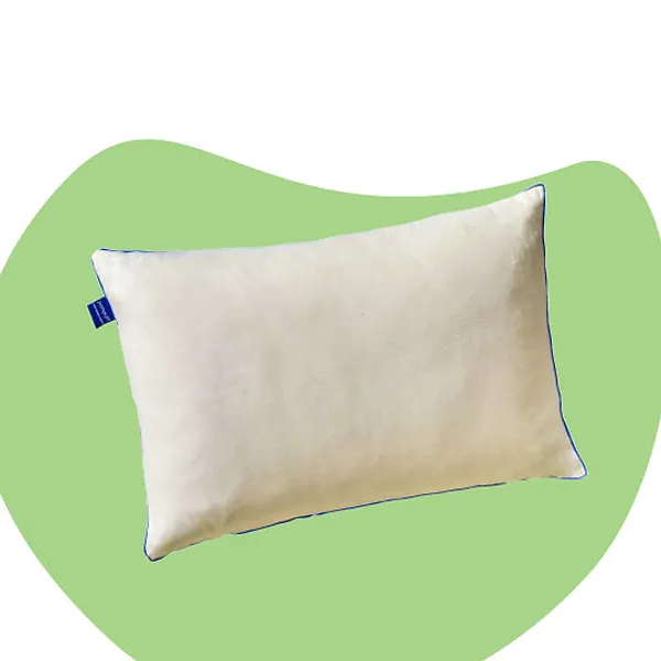 Set_of_2_Allergy_Free_Size_Pillows_With_Organic_Covers
