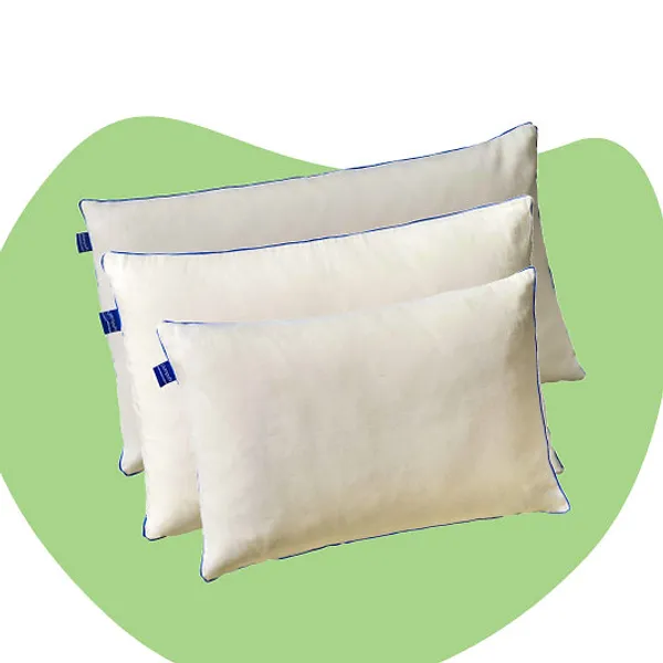 Set_Of_2_Premium_Quality_Pillow_Covers