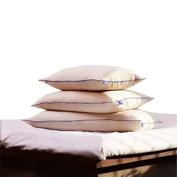 Set_Of_2_Premium_Quality_Pillow_Covers