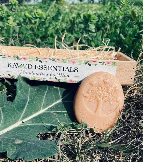 Aloe_Vera_And_Sandalwood_Handmade_Soap_Set_Maintains_Moisture_In_Skin_250_Gm