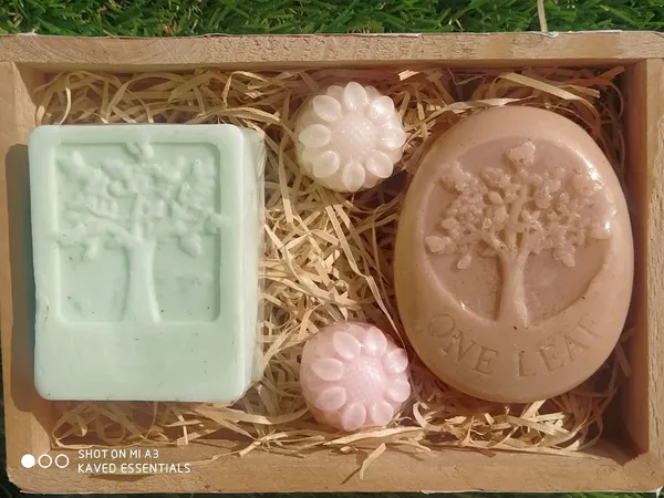 Aloe_Vera_And_Sandalwood_Handmade_Soap_Set_Maintains_Moisture_In_Skin_250_Gm