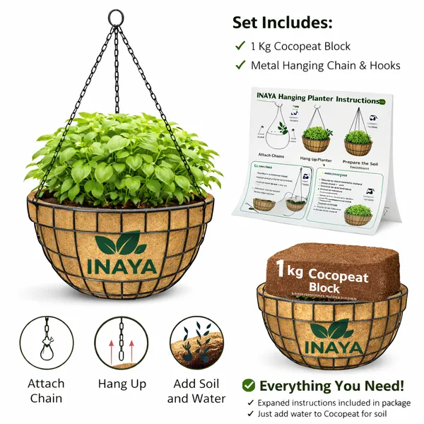 Hanging_Pot_10inch_with_1_kg_Cocopeat_block_