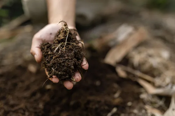 Organic_Compost_1_Kg_Pack