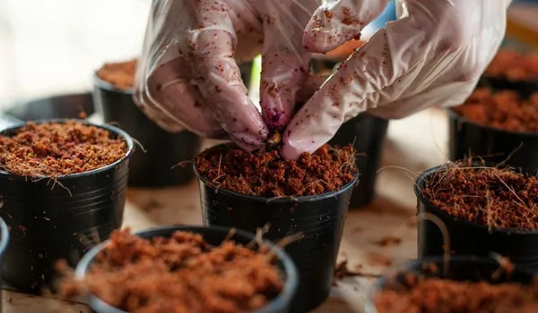 Organic_Compost_1_Kg_Pack