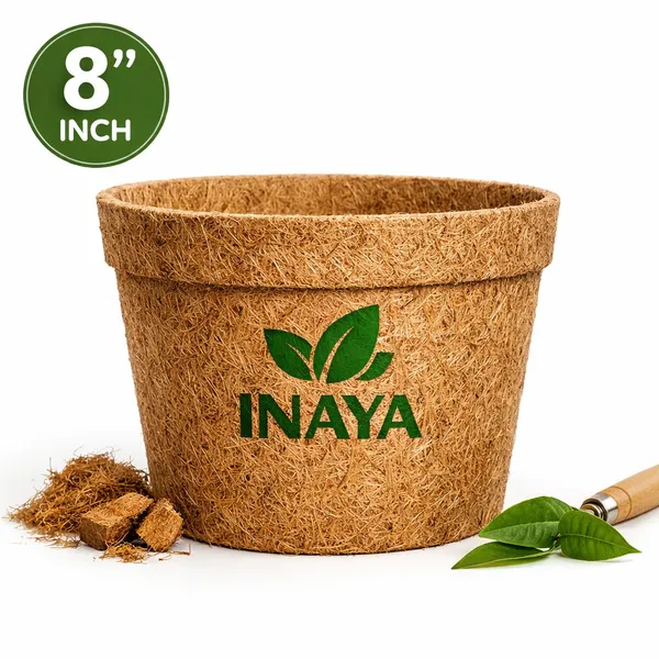 Coir_Pot_8_Inch_
