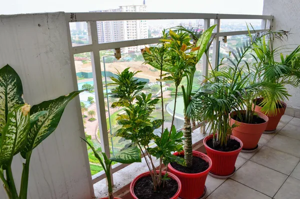 Coir_Pot_8_Inch_