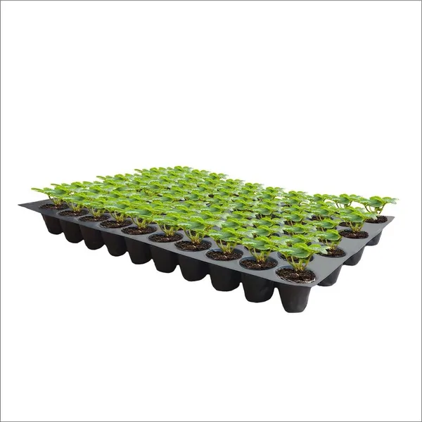Cocopeat_Low_EC_5kg_Block