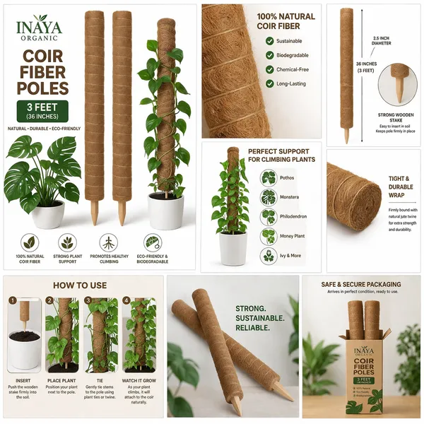 Coir_Fiber_Poles_Pack_of_2's_(3Ft)