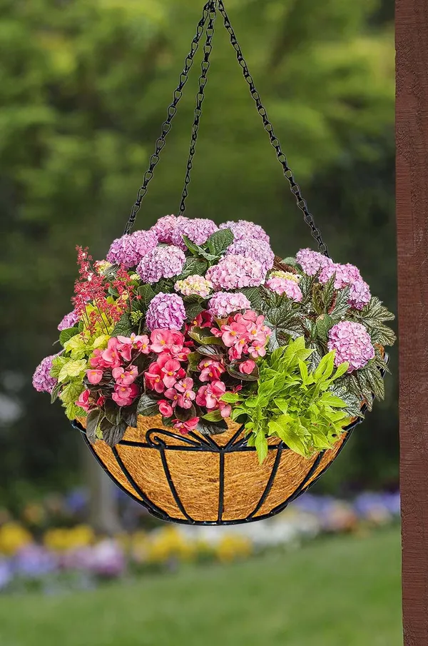 Garden_Starter_Kit_Combo_
