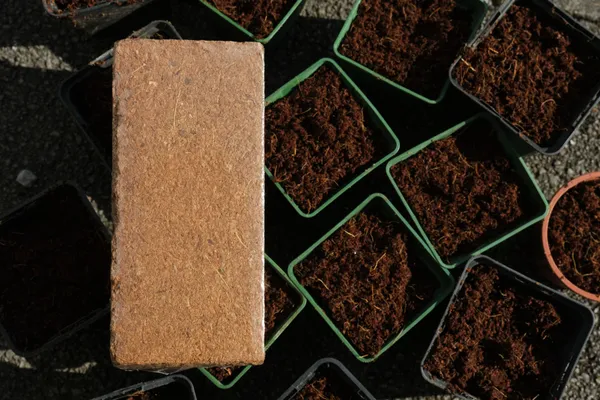 Cocopeat_1kg_Block