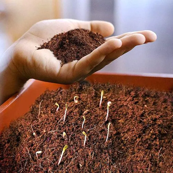 Cocopeat_1kg_Block