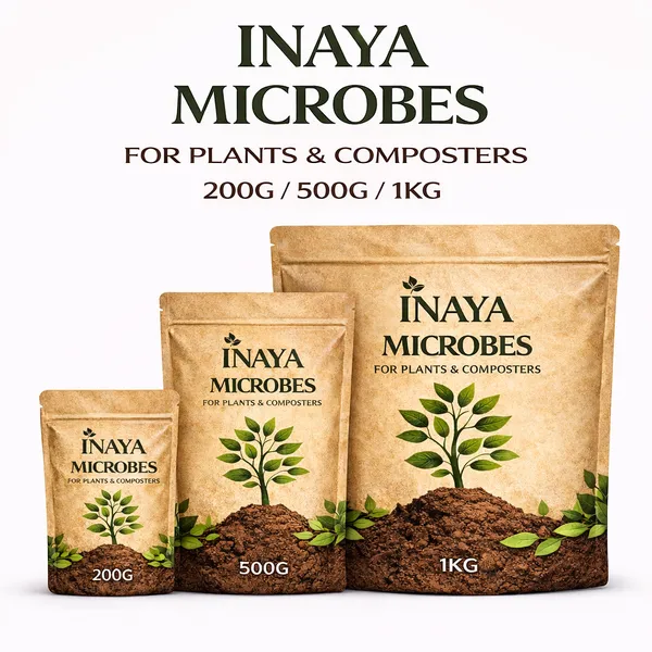 Microbes_200_Gm_