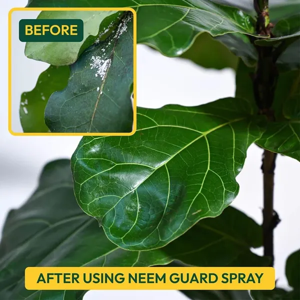 Neem_Powder_1kg_Pack