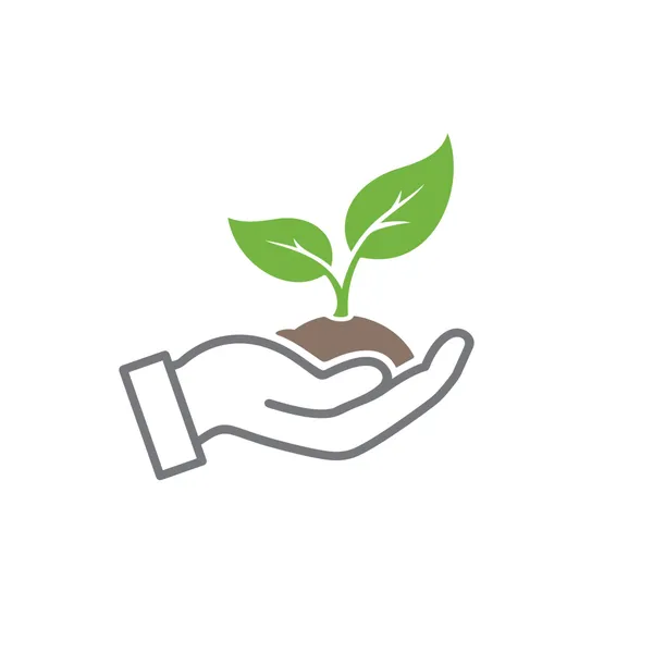 Cocopeat_Block_650_Gm