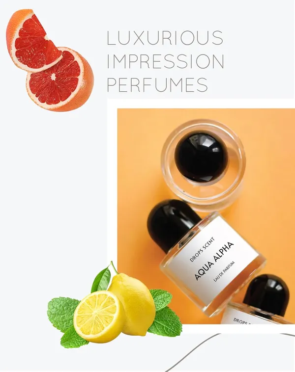 Aqua_Alpha_|_50ML_Eau_De_Parfum_|_Fresh_Aquatic_Woody_Aromatic_Fragrance_|_Long-Lasting_Pocket_Perfume_Gift_for_Men_|_Summer_Daily_Office_Wear